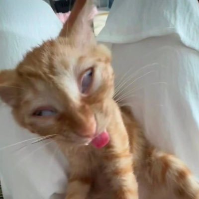 maaaaaa nyu laiiiif