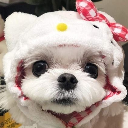 yam yam 🏴‍☠️🍋さんのプロフィール画像
