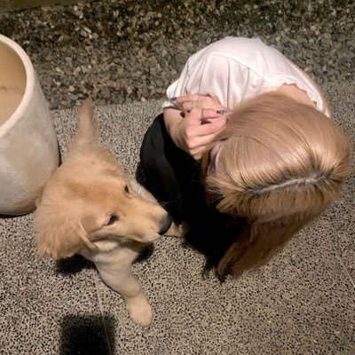 HACHIBO ®️さんのプロフィール画像