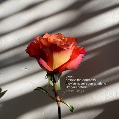 astha_toppo's profile picture. Horticulturist🌳🎍🌼
que' sera' sera'