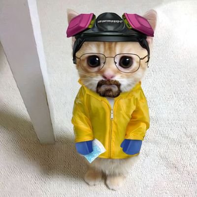 lxngyn1's profile picture. freedom is not free