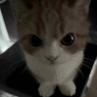 roz_val (@roz_val7472) 's Twitter Profile