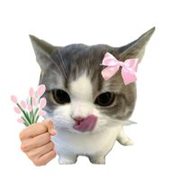 bebi (@sveledri) 's Twitter Profile