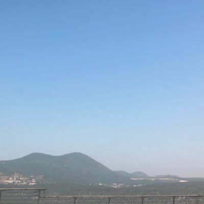 Ezzythe3emon's profile picture. RHLM 🦉🐐