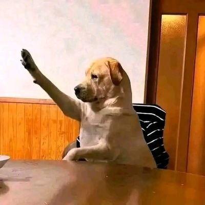 tenena_'s profile picture. « Les rêves que je poursuis ne sont pas les vôtres, mes erreurs ne sont pas des fautes. »