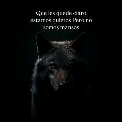 Mayeutica07's profile picture. tnlgo de datos.