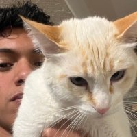 XNT 🦂 (@mentallyxb) 's Twitter Profile Photo XNT 🦂 (@mentallyxb) 's Twitter Profile Photo