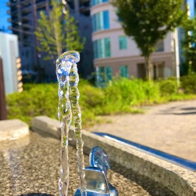 たはのか/ダークライさんのプロフィール画像