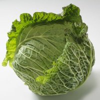 TheFourthTroglodyte (@4thtroglodyte) 's Twitter Profile Photo TheFourthTroglodyte (@4thtroglodyte) 's Twitter Profile Photo