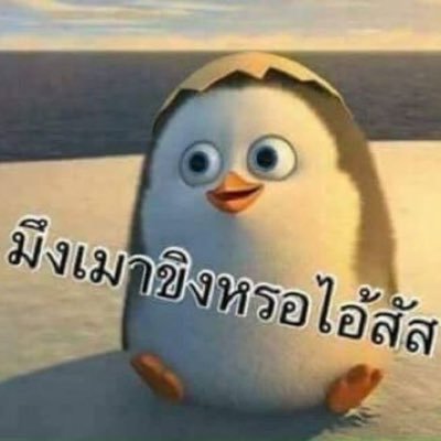 cu10x