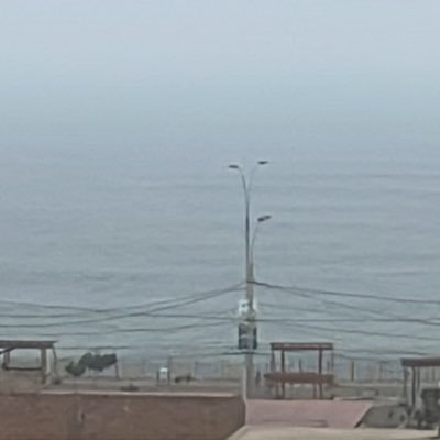 51_447's profile picture. Directo