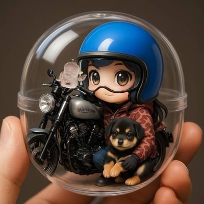slymoさんのプロフィール画像