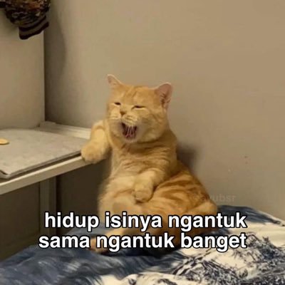 @bubbleole