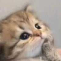 치..꙳ (@zzzuniii) 's Twitter Profile Photo