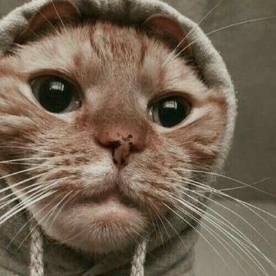 angelmic2000's profile picture. LIFE IS HARD BUT I'M HARDER 💪 
WEB.3 🌎
A TRUE BLUE AIRDROP HUNTER 🐳$
💙 FANS CHELSEA 💙