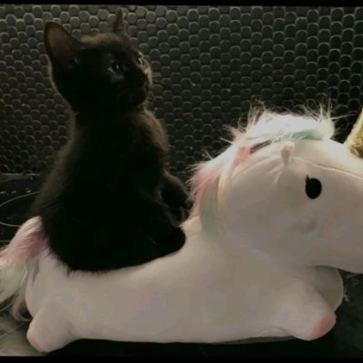 10Pabliny's profile picture. 