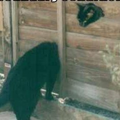 devan_vasu_k's profile picture. 