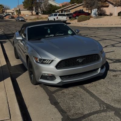 Topless_4Stang1's profile picture. 21 // Female Driven // Mustang Owner //