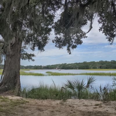 meashnw's profile picture. Typically hippie conspiracy theorist . proud mom of an amazing  autistic son