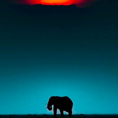 kaleric16's profile picture. Here for the news.