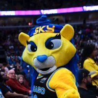 Skye the Lioness (@skyeinthechi) 's Twitter Profile