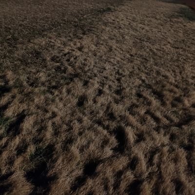 mimidu153's profile picture. 