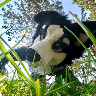 renard de 25 ans | vidéaste | de ch’nord | like possiblement du NSFW 🤫