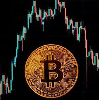 ebubej674's profile picture. 