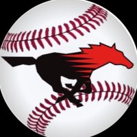 Shallowater Mustang Baseball 2025 (@shally_baseball) 's Twitter Profile