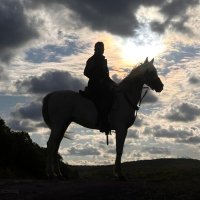 Volkan (@volkansev) 's Twitter Profile Photo