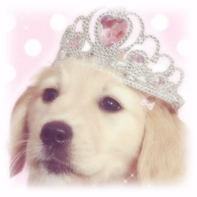 NSFW + SFW Account MDNI ˖ . ݁𝜗𝜚. ݁₊ Certified Puppy Girl ˖ . ݁𝜗𝜚. ݁₊ Platonic Flirting ˖ . ݁𝜗𝜚. ݁₊ INACTIVE