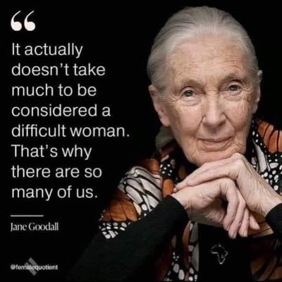 Let Them Peak - trans ideology loses credibility every time it tries to silence the truth. Resident of TERF island.