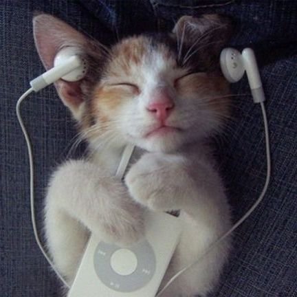 se non ho la musica alta nelle cuffiette tanto vale nn ascoltare nulla