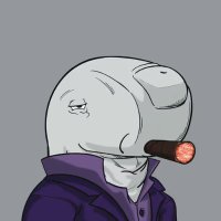 devwifsol (@devwifsol) 's Twitter Profile