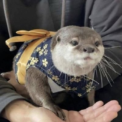 sin552232's profile picture. 