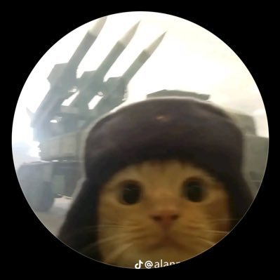durval_crvg's profile picture. @vascodagama