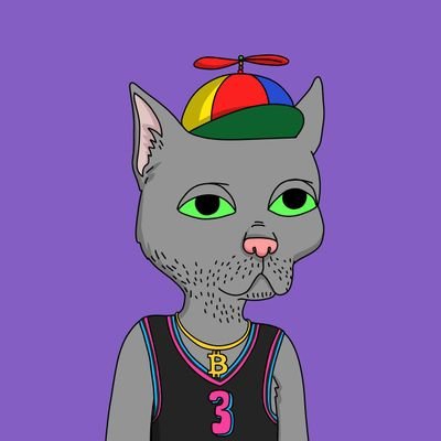 TheScribe_01's profile picture. Builder ll Research.
Your Reply Guy!