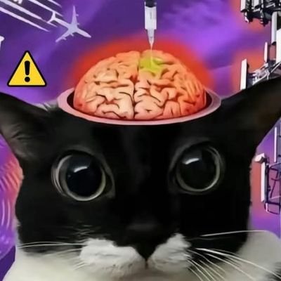Warpdrv's profile picture. Vidya gaems