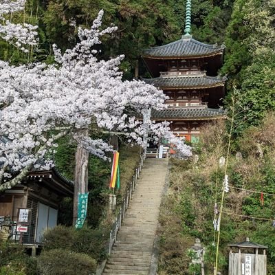 85gqtoyAO021699's profile picture. 