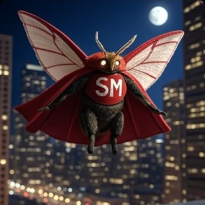 supermoths's profile picture. In God we trust 🙌

Blockchain technology expert 
Crypto genius
Web 3 analyst
and more...

A2BSLQ87