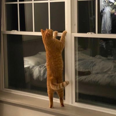 Colson_Xu's profile picture. 