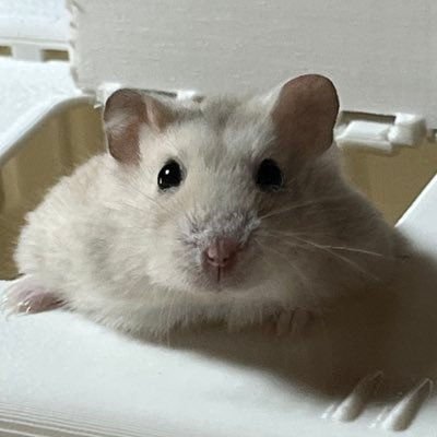 倉川 要(Experten)さんのプロフィール画像