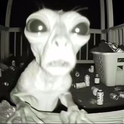 brendhsx's profile picture. ah nao sei oq nao sei oq la