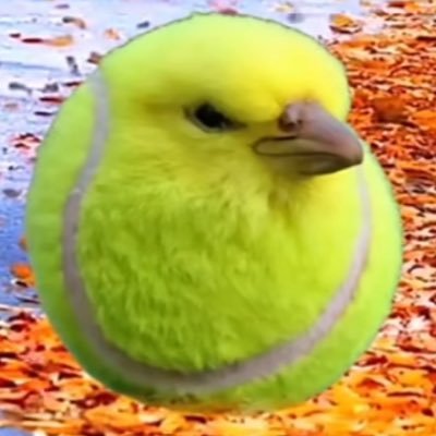 starballer_1's profile picture. 