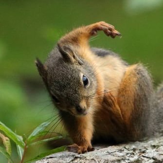 all_failed_'s profile picture. ㅗㅗㅗㅗㅗㅗㅗㅗㅗㅗㅗㅗㅗㅗㅗ