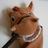 TogaTout's profile image