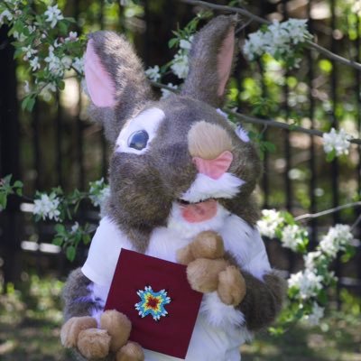 She/her || Rabbit 🐇|| MN fur 🐾 || Percussionist 🥁 || Watership Down enthusiast 🐇 || Warrior Cats enjoyer 🐈