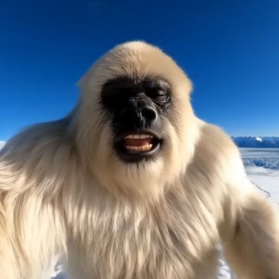 Official Yeti Vlogs X Page
https://t.co/ibwnSsBf9N
Ca: