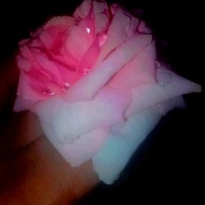 djanea_djed's profile picture. 