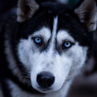 Lone (@extrovertloner1) 's Twitter Profile Photo Lone (@extrovertloner1) 's Twitter Profile Photo
